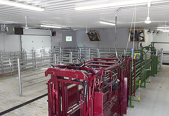Cattle Handing Facility