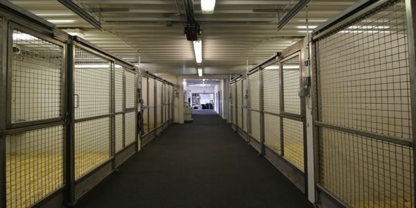 Lodi Vet Equine Boarding