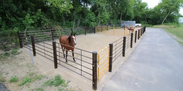 Lodi Vet Equine Boarding and Turnout