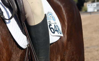 Recognizing Overheating in Your Horse