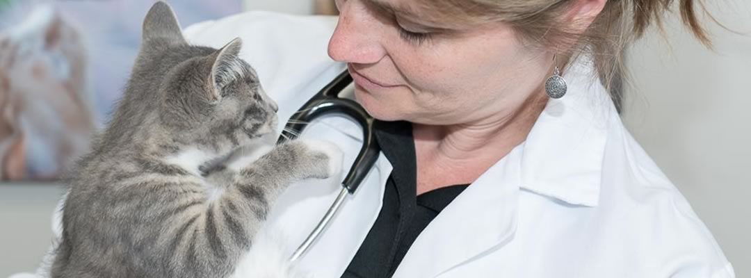 Lodi Veterinary Care - Wisconsin