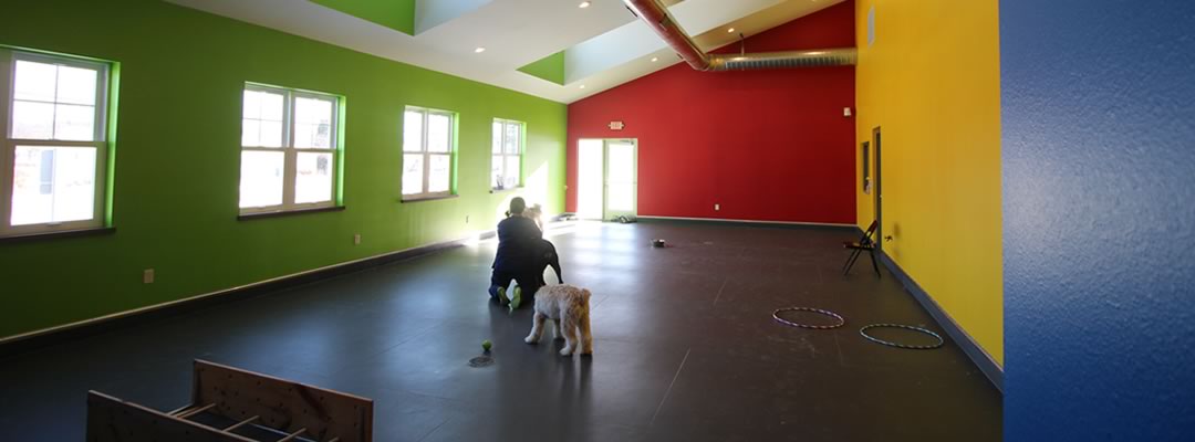 Pet Boarding and Daycare in Wiscsonsin